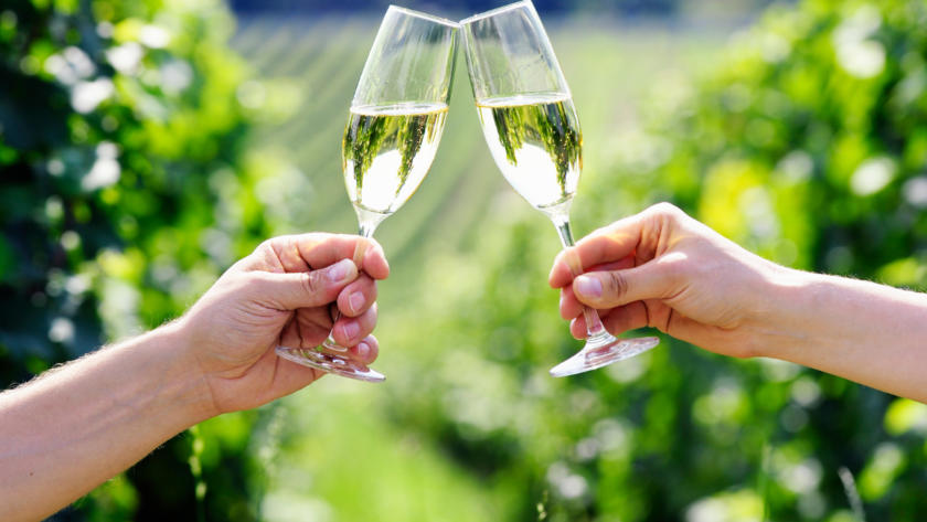 Due persone brindano con dei calici di prosecco in una vigna